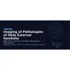 ARRS Imaging of Pathologies of Male External Genitalia 2025