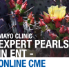Mayo Clinic Expert Pearls in ENT: Full Course 2020 Mayo Clinic Expert Pearls in ENT 2020