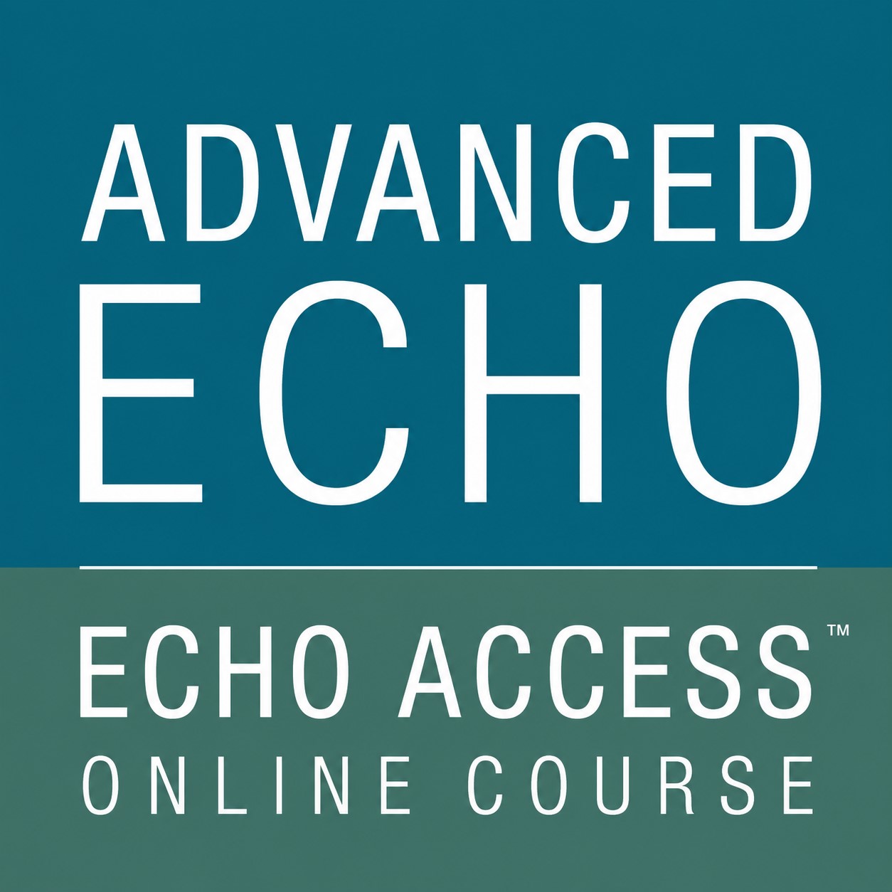 ASE Advanced Echo 2025 ASE Advanced Echo 2025
