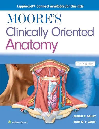 Moore’s Clinically Oriented Anatomy, 10th edition (EPUB) Moore’s Clinically Oriented Anatomy, 10th edition (EPUB)