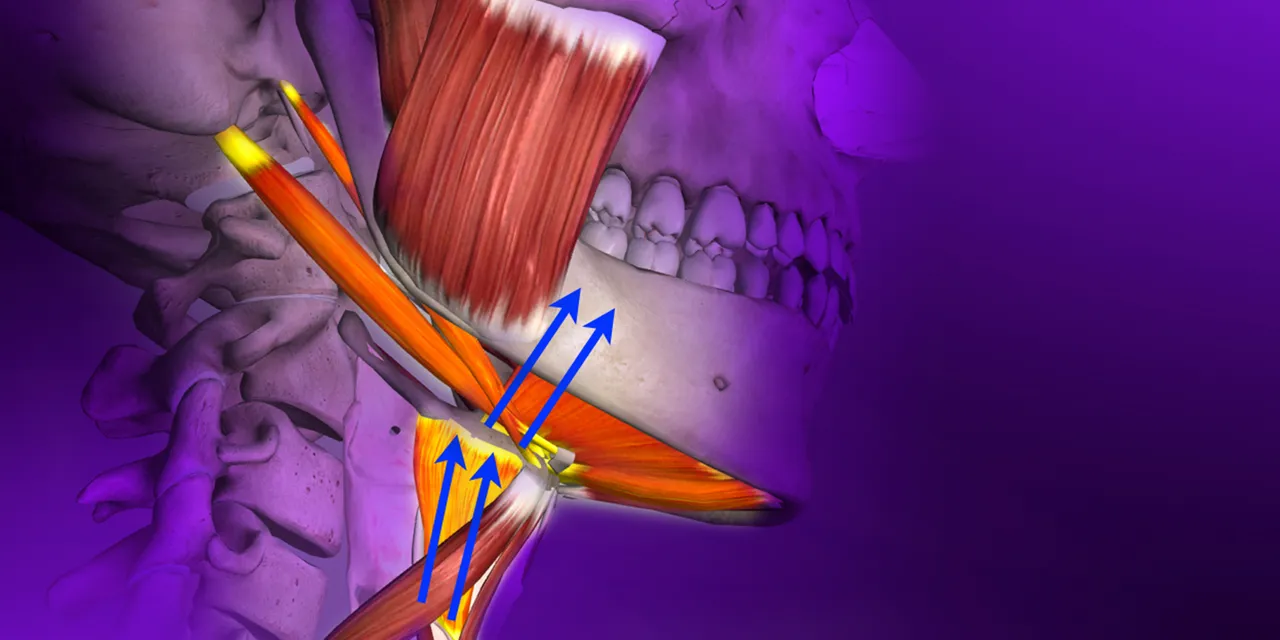 OHI-S Gnathology and Occlusion From Analysis of Occlusal Forces to Dysfunctions 2023 OHI-S Gnathology and Occlusion From Analysis of Occlusal Forces to Dysfunctions 2023