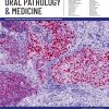 Journal of Oral Pathology and Medicine, Full Archive (2015 – 2025) Journal of Oral Pathology and Medicine