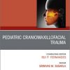 Oral and Maxillofacial Surgery Clinics of North America, Journal Archive (2005 -2024)