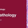 2019 Classic Lectures in Pathology What You Need to Know Endocrine Pathology 2019 Classic Lectures in Pathology What You Need to Know Endocrine Pathology