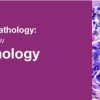2019 Classic Lectures in Pathology What You Need to Know Dermatopathology 2019 Classic Lectures in Pathology What You Need to Know Dermatopathology