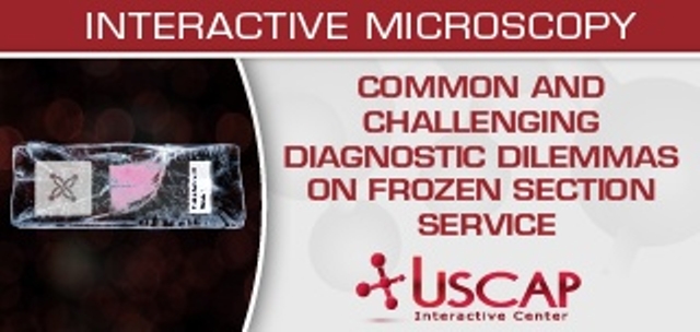 USCAP Common and Challenging Diagnostic Dilemmas on Frozen Section Service 2020 USCAP Common and Challenging Diagnostic Dilemmas on Frozen Section Service 2020