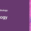 2021 Classic Lectures in Pathology: What You Need to Know: Breast Pathology 2021 Classic Lectures in Pathology: What You Need to Know: Breast Pathology