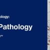 2019 Classic Lectures in Pathology: What You Need to Know: Soft Tissue Pathology (CME Videos) 2019 Classic Lectures in Pathology: What You Need to Know: Soft Tissue Pathology (CME Videos)