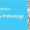 2019 Classic Lectures in Pathology What You Need to Know Genitourinary Pathology 2019 Classic Lectures in Pathology What You Need to Know Genitourinary Pathology