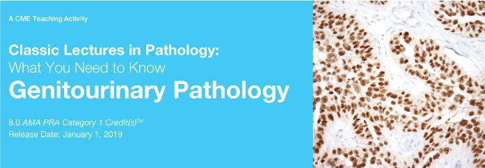 2019 Classic Lectures in Pathology What You Need to Know Genitourinary Pathology 2019 Classic Lectures in Pathology What You Need to Know Genitourinary Pathology