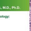 2019 Expert Series with Jason L. Hornick, M.D., Ph.D.: Soft Tissue Pathology: A One-On-One Tutorial 2019 Expert Series with Jason L. Hornick, M.D., Ph.D.: Soft Tissue Pathology: A One-On-One Tutorial