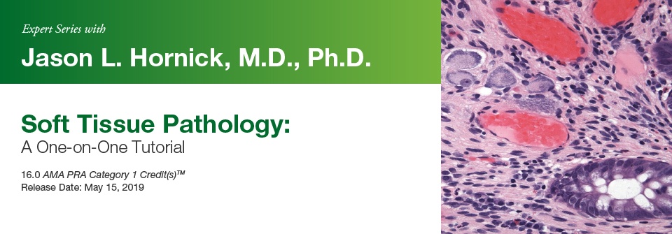 2019 Expert Series with Jason L. Hornick, M.D., Ph.D.: Soft Tissue Pathology: A One-On-One Tutorial 2019 Expert Series with Jason L. Hornick, M.D., Ph.D.: Soft Tissue Pathology: A One-On-One Tutorial