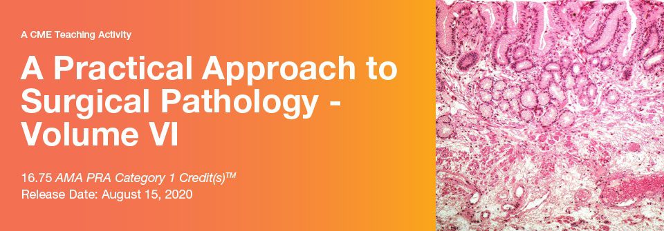 2020 A Practical Approach to Surgical Pathology – Volume VI 2020 A Practical Approach to Surgical Pathology – Volume VI
