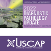 2022 Diagnostic Pathology Update: Pragmatic Approaches to Daily Practice 2022 Diagnostic Pathology Update: Pragmatic Approaches to Daily Practice