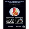 The Art Of 2D Transesophageal Echocardiography (PDF Book+ Videos )
