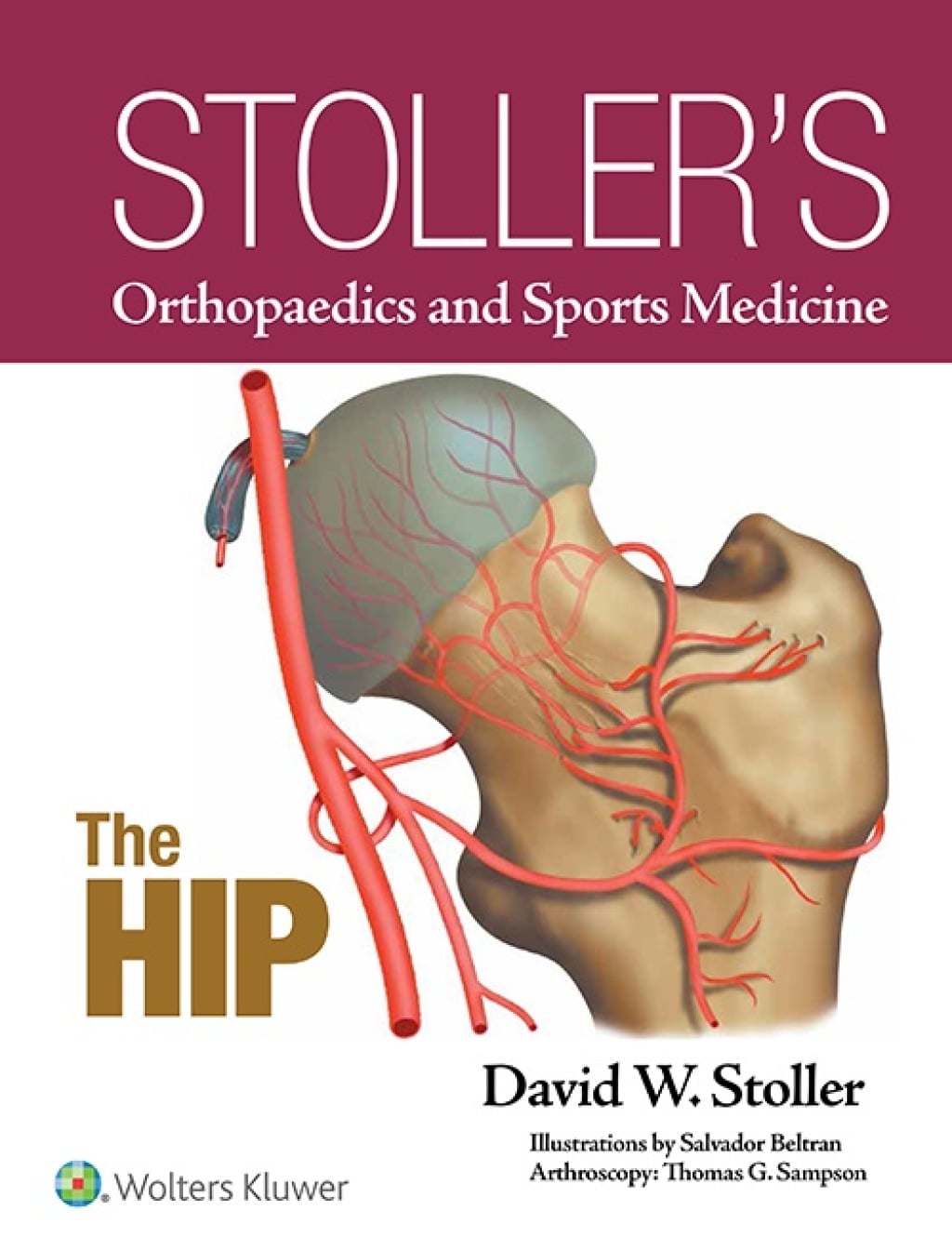 Stoller’s Orthopaedics and Sports Medicine: The Hip (Original PDF from Publisher) Stoller’s Orthopaedics and Sports Medicine: The Hip (Original PDF from Publisher)