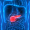 ASGE Pancreatic Cancer Awareness Month | November 2020 ASGE Pancreatic Cancer Awareness Month | November 2020