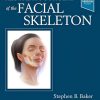Aesthetic Surgery of the Facial Skeleton Aesthetic Surgery of the Facial Skeleton