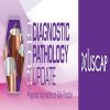 Diagnostic Pathology Update 2019 (USCAP Video Courses) (CME VIDEOS) Diagnostic Pathology Update 2019 (USCAP Video Courses) (CME VIDEOS)
