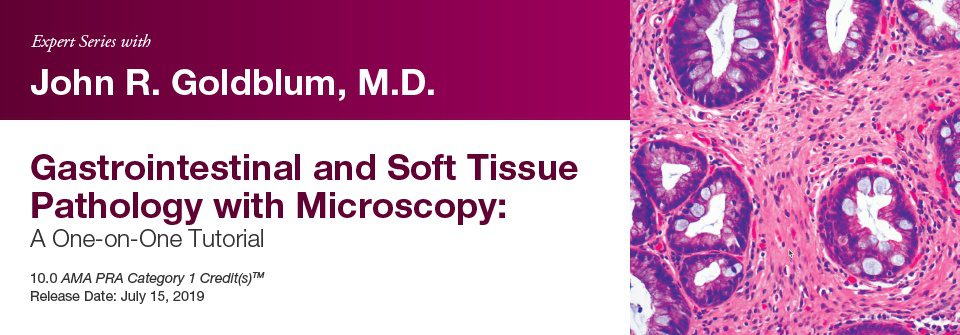 DocmedED 2019 Expert Series with John R. Goldblum, M.D. Gastrointestinal and Soft Tissue Pathology with Microscopy A One-on-One Tutorial DocmedED 2019 Expert Series with John R. Goldblum, M.D. Gastrointestinal and Soft Tissue Pathology with Microscopy A One-on-One Tutorial