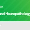 DocmedED 2022 Classic Lectures in Pathology What You Need to Know Head and Neck and Neuropathology DocmedED 2022 Classic Lectures in Pathology What You Need to Know Head and Neck and Neuropathology