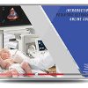 GCUS Introduction to Pediatric Ultrasound 2020 (Gulfcoast Ultrasound Institute) (Videos + Exam-mode Quiz) GCUS Introduction to Pediatric Ultrasound 2020 (Gulfcoast Ultrasound Institute) (Videos + Exam-mode Quiz)
