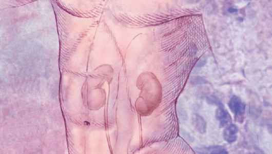 Harvard Comprehensive Review of Nephrology 2021 Harvard Comprehensive Review of Nephrology 2021