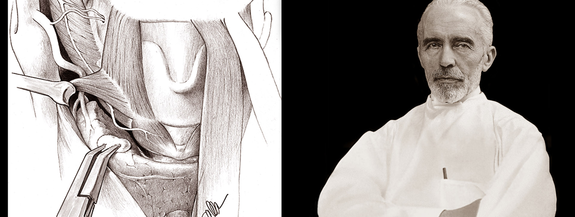 Harvard Surgery of the Thyroid and Parathyroid Gland 2022 Harvard Surgery of the Thyroid and Parathyroid Gland 2022