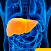 Michigan Medicine 18th Annual Advanced Liver Disease and Liver Transplantation Update 2024