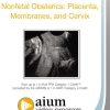Nonfetal Obstetrics: Placenta, Membranes, and Cervix Nonfetal Obstetrics: Placenta, Membranes, and Cervix