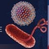 Penn Medicine Infectious Disease Update for Primary Care Providers 2022