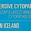 USCAP Immersive Cytopathology Experience ICE in Iceland 2019 USCAP Immersive Cytopathology Experience ICE in Iceland 2019