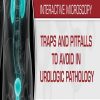USCAP Traps And Pitfalls To Avoid In Urologic Pathology 2019 (CME VIDEOS) USCAP Traps And Pitfalls To Avoid In Urologic Pathology 2019 (CME VIDEOS)