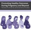 Promoting Healthy Outcomes During Pregnancy and Beyond: The Role of Community and Social Service Providers (Original PDF from Publisher) Promoting Healthy Outcomes During Pregnancy and Beyond: The Role of Community and Social Service Providers (Original PDF from Publisher)