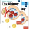 Brenner & Rector’s The Kidney (2 volume set), 12th edition (Original PDF from Publisher) Brenner & Rector’s The Kidney (2 volume set), 12th edition (Original PDF from Publisher)