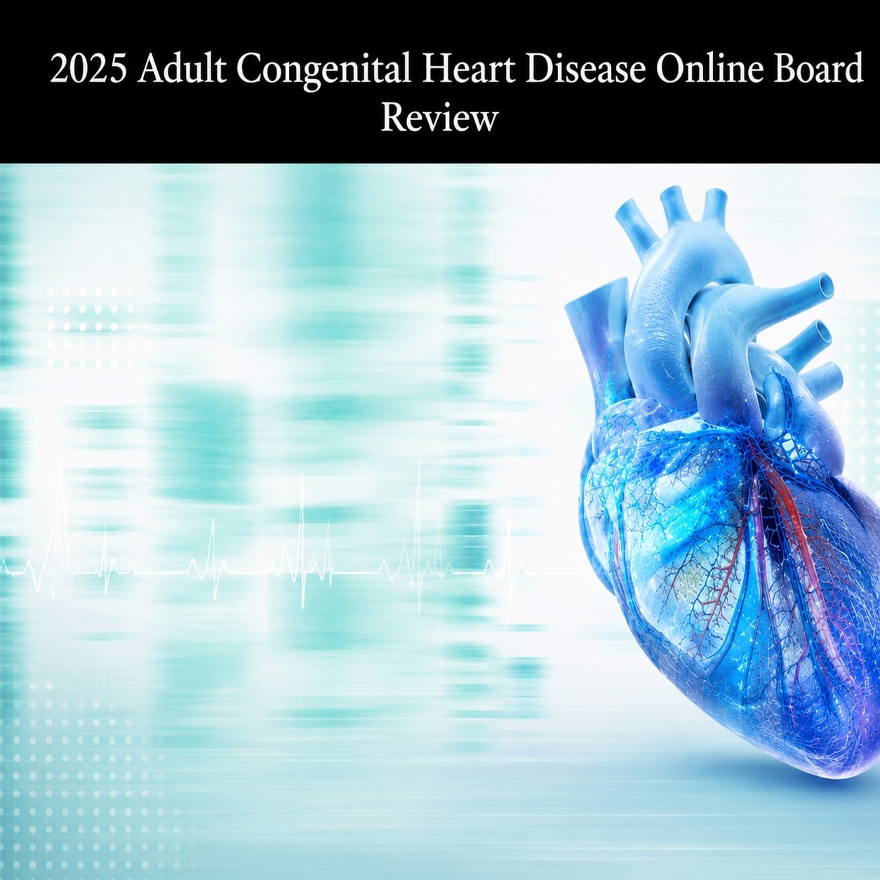 Mayo Clinic 2025 Adult Congenital Heart Disease Online Board Review Mayo Clinic 2025 Adult Congenital Heart Disease Online Board Review
