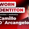 OHI-S Treatment of pathological tooth wear. Additive prosthodontics. The concept Aesthetics-Function-Posture 10 lession 19h36m