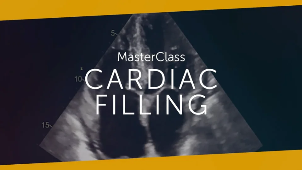 123sonography Cardiac Filling MasterClass 2020 (Videos) 123sonography Cardiac Filling MasterClass 2020 (Videos)