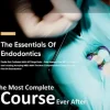 The Essentials of Endodontics The Essentials of Endodontics