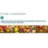 Scripps Conference Arrhythmias and Cardiomyopathy in Women Symposium 2026 Scripps Conference Arrhythmias and Cardiomyopathy in Women Symposium 2026