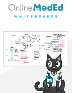 OnlineMedEd WhiteBoard Snapshot for Clinical Science “USMLE STEP 2” 2021 (PDF) OnlineMedEd WhiteBoard Snapshot for Clinical Science USMLE Step 2 2021 PDF