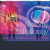 Anatomy and Physiology: Adapted International Edition (EPUB)