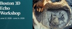 Harvard Boston 3D Echo Workshop 2026