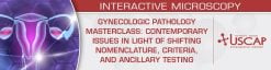 USCAP Gynecologic Pathology Masterclass Contemporary Issues in Light of Shifting Nomenclature, Criteria, and Ancillary Testing 2026