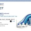 SCCT The Cardio AI Imaging CT Course in the UAE Level 1 June 27 – 28, 2026 SCCT The Cardio AI Imaging CT Course in the UAE Level 1 June 27 – 28, 2026
